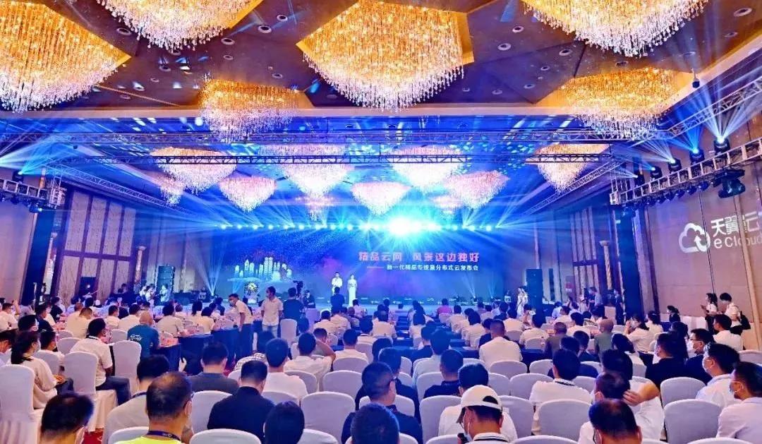 云行|赋能千行百业“云网”风景独好