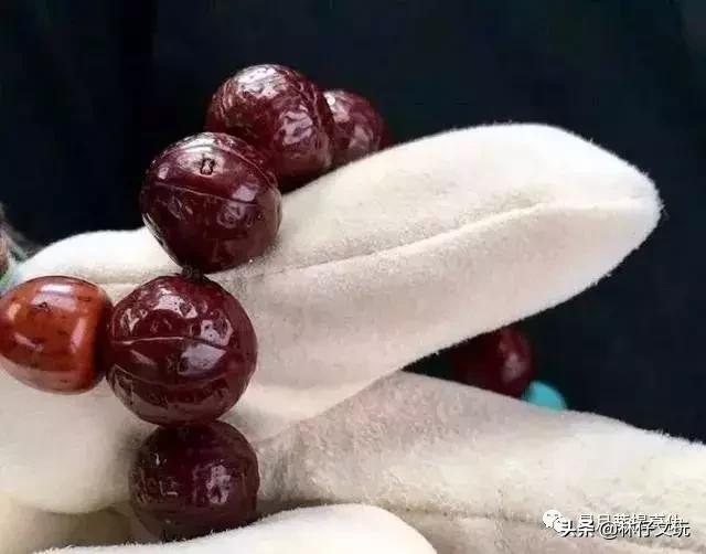 凤眼菩提视频教程,凤眼菩提介绍视频