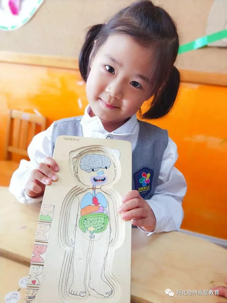 身体大揭秘动画,身体大揭秘