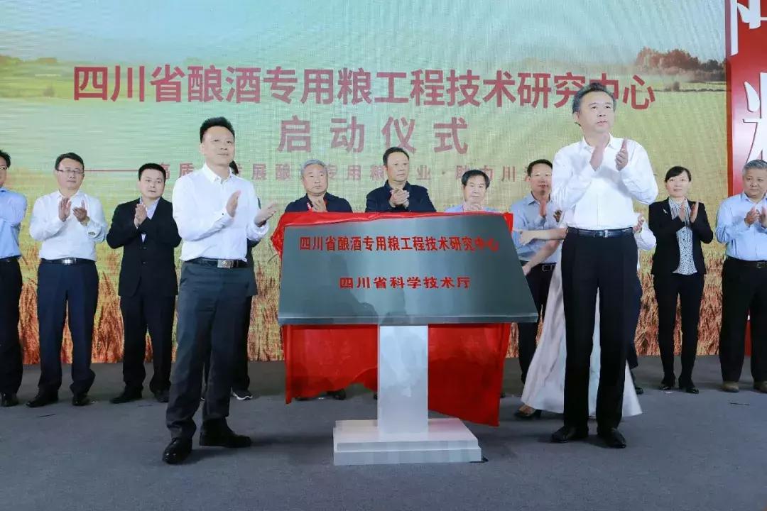 第八代经典五粮液酒特点,五粮液第八代是浓香还是酱香