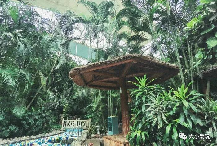 周边游玩推荐适合带孩子温泉,适合带孩子游玩的室内温泉水世界