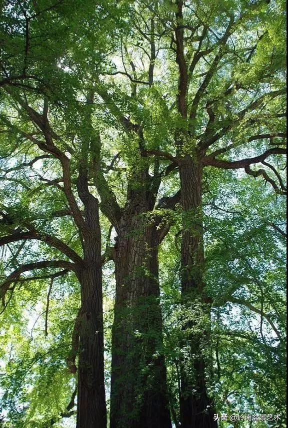中国十大千年古寺古刹之首,中国十大千年古尸容貌复原成功