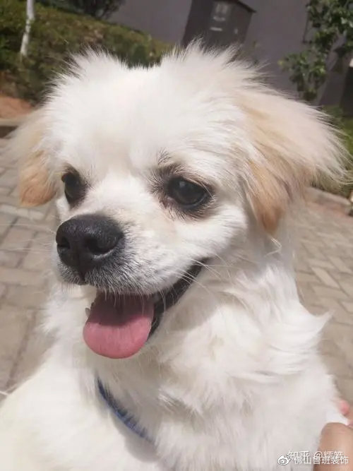 装修最简单能自己搞定的活,干装修的如何装修自己的家