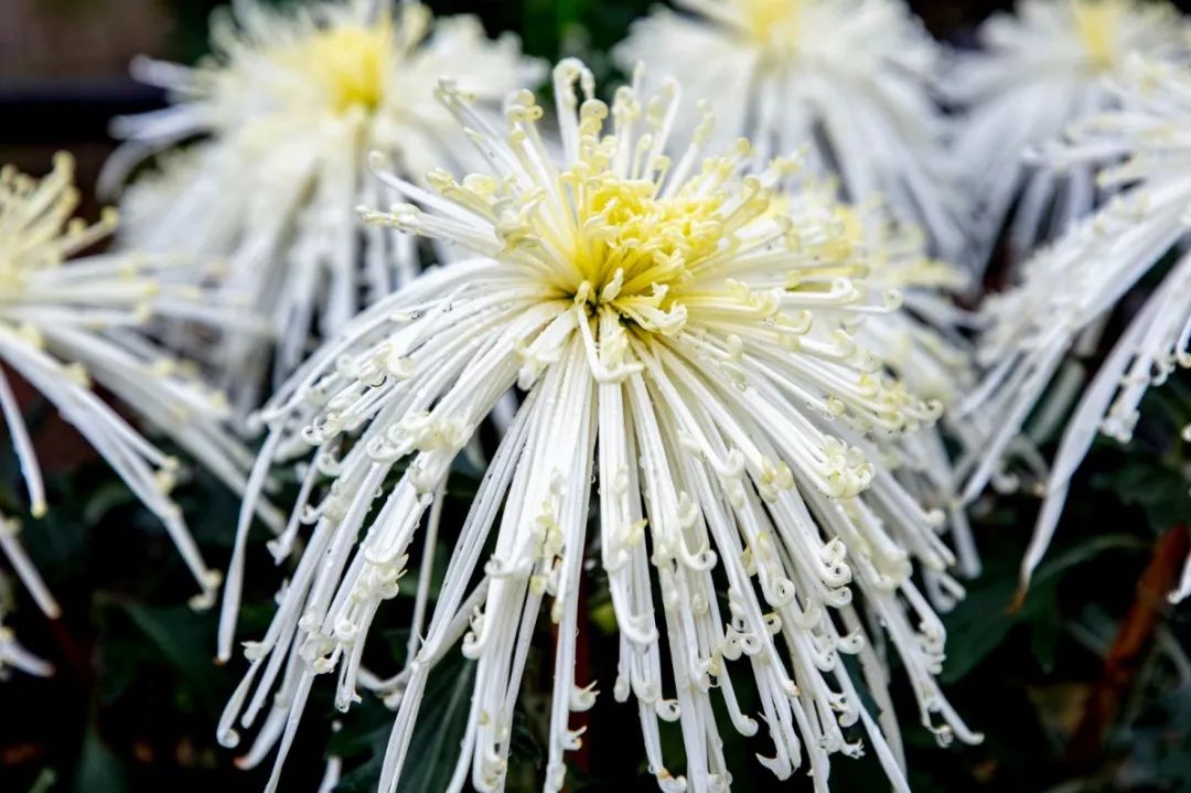 自拍达人全景,南宁自拍拍照博主