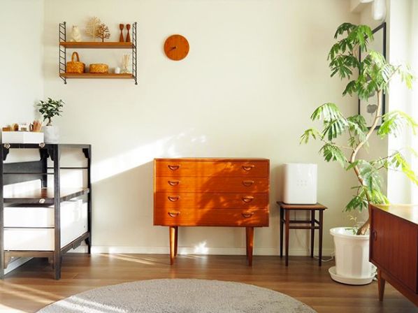 日本一主妇花近2亿日元,日本主妇一年省了500万