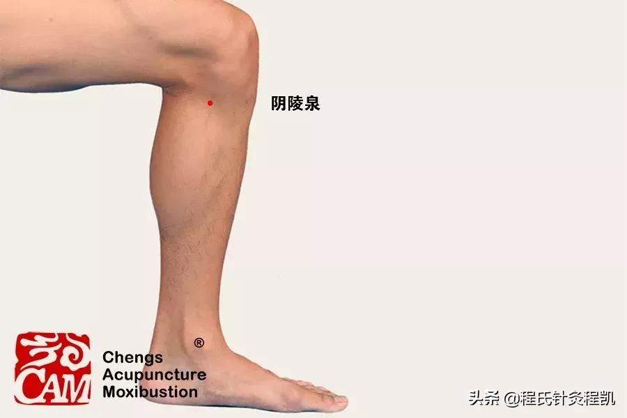 「药穴同源」人体自备乌鸡白凤丸，调经止带，呵护女性健康