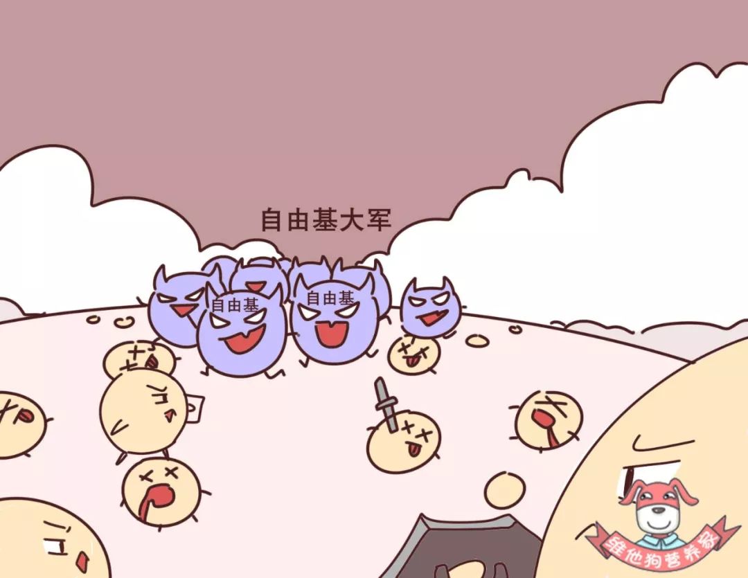 不做医美不打针，如何拥有紧致光滑的肌肤？原来这些食物就可以