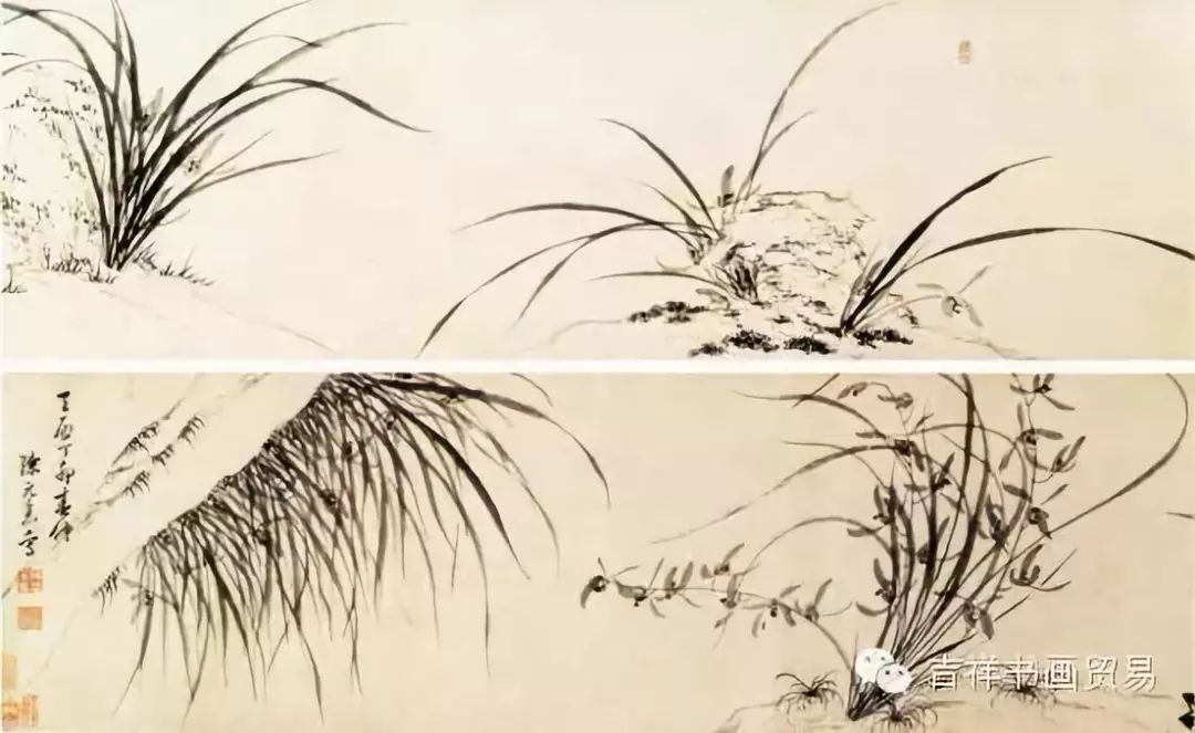 看看大家都是怎么画眉毛的,二月兰怎么画简单好看