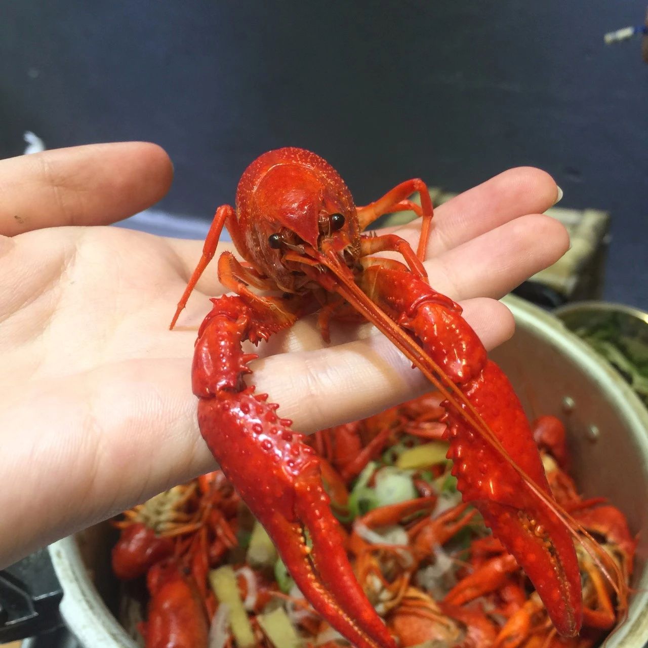南宁最好吃的大排档小龙虾,南宁最好吃的五香龙虾