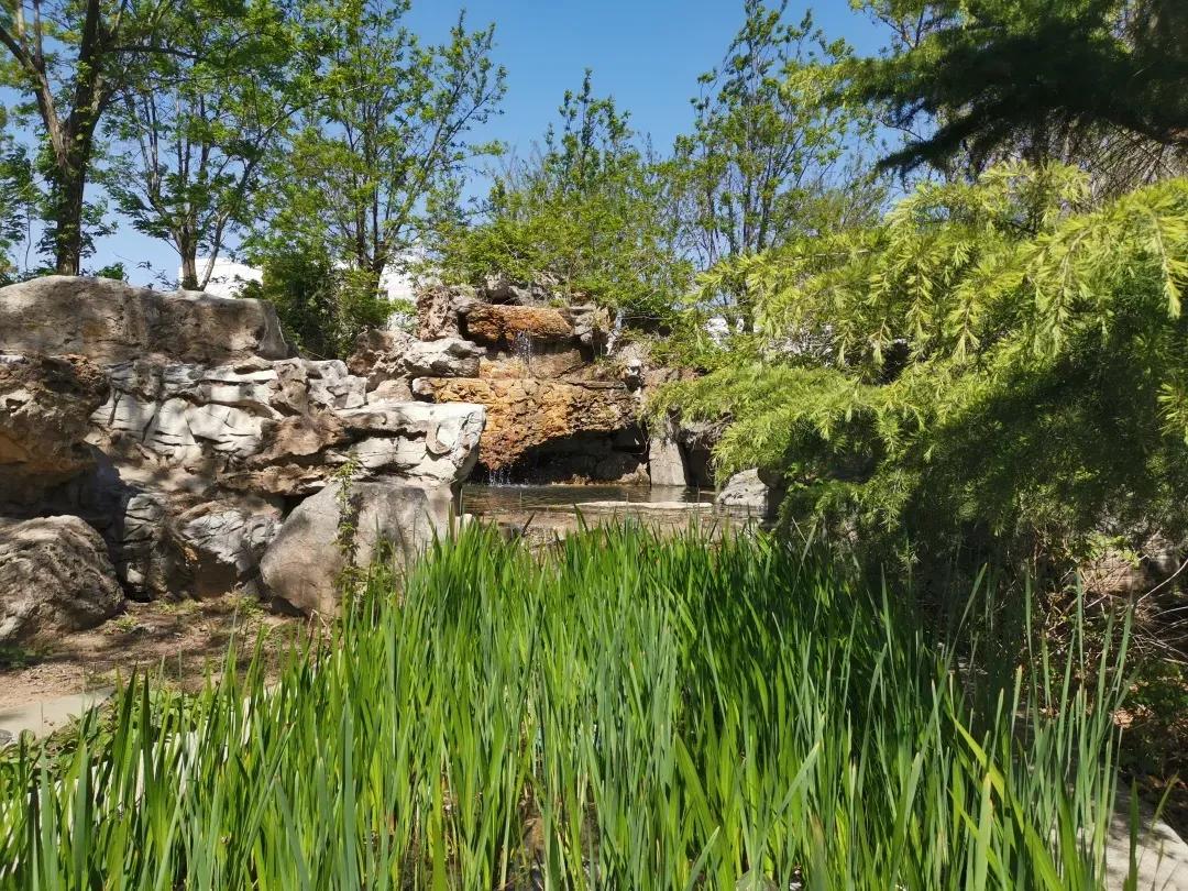 南开大学滨海学院天津排名,天津曾经的滨海学院