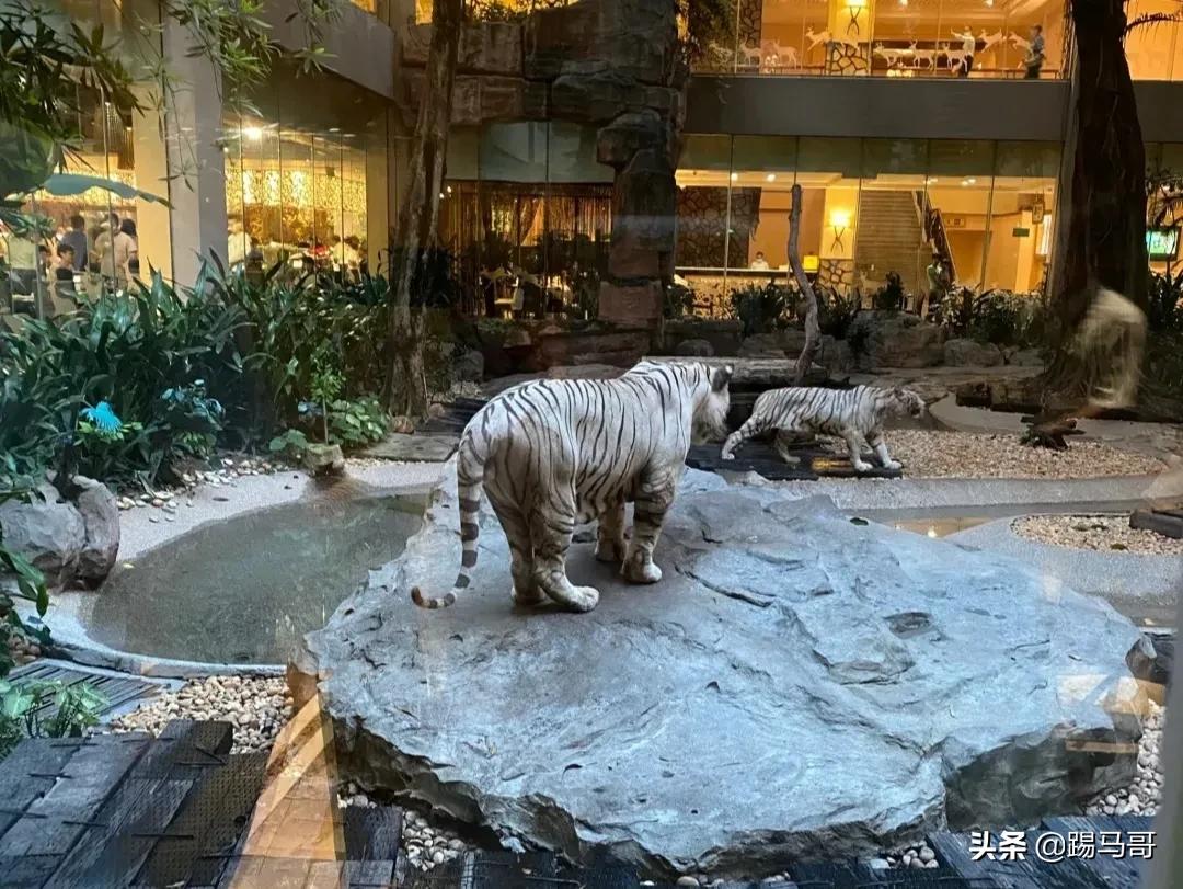 湖州龙之梦度假之旅,湖州龙之梦值得一去