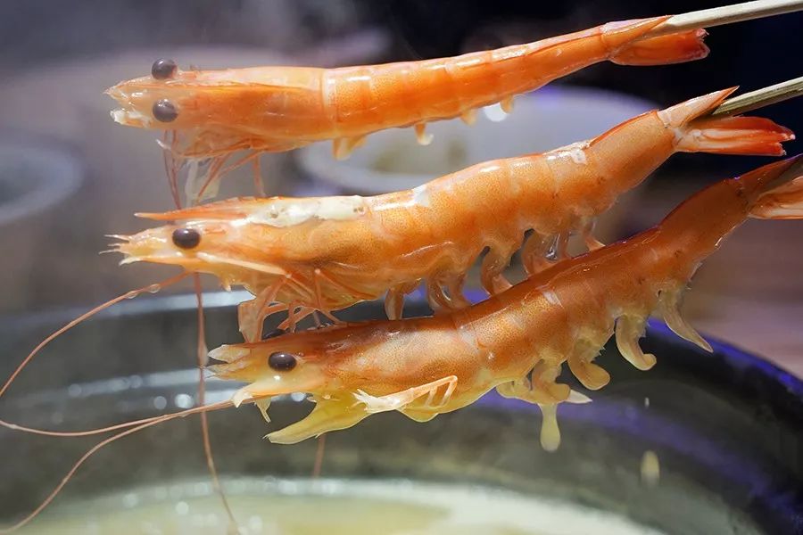 简易龙虾汤泡饭,打边炉花胶鸡汤泡饭做法