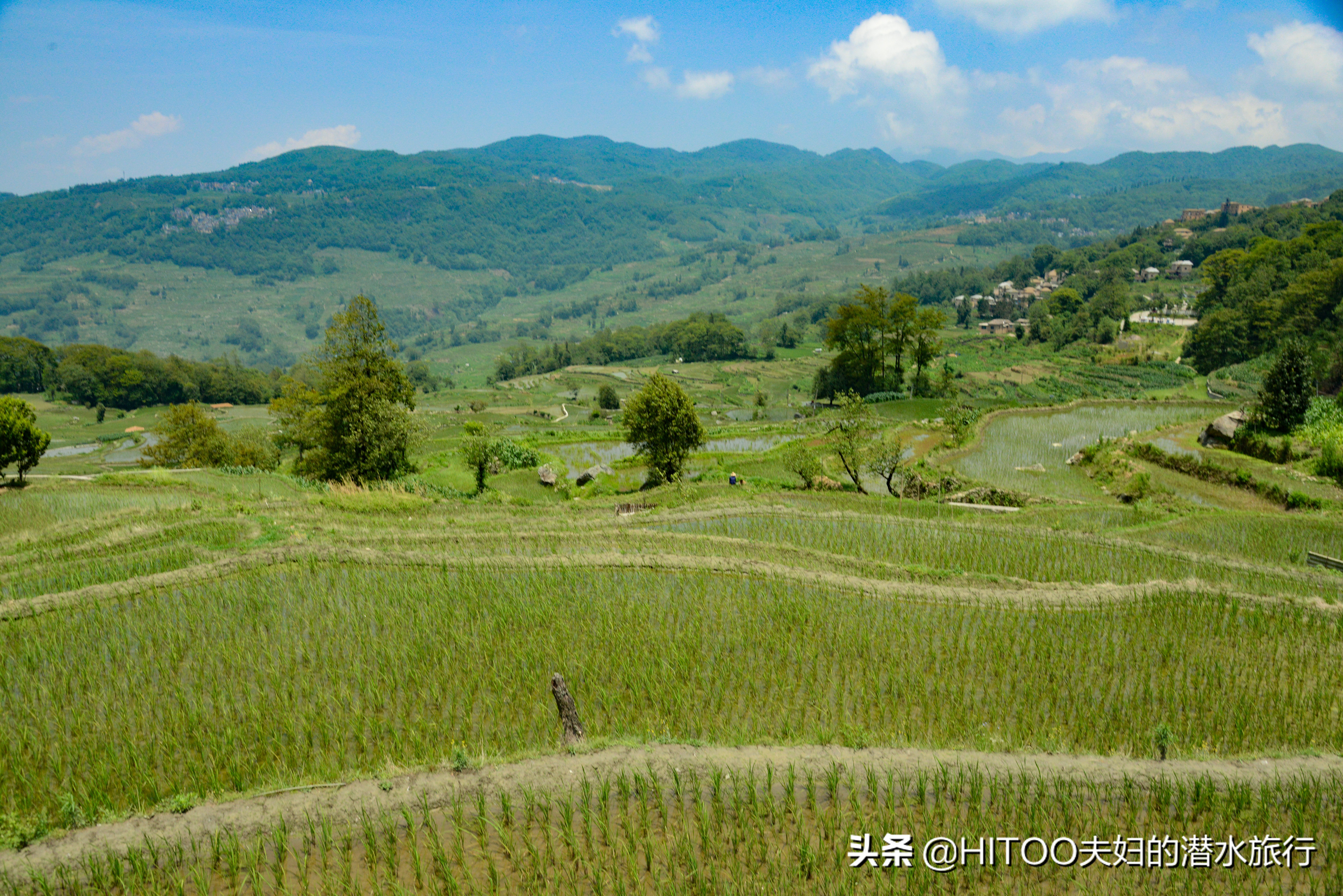 不花钱看元阳梯田自驾攻略,元阳梯田自驾游攻略