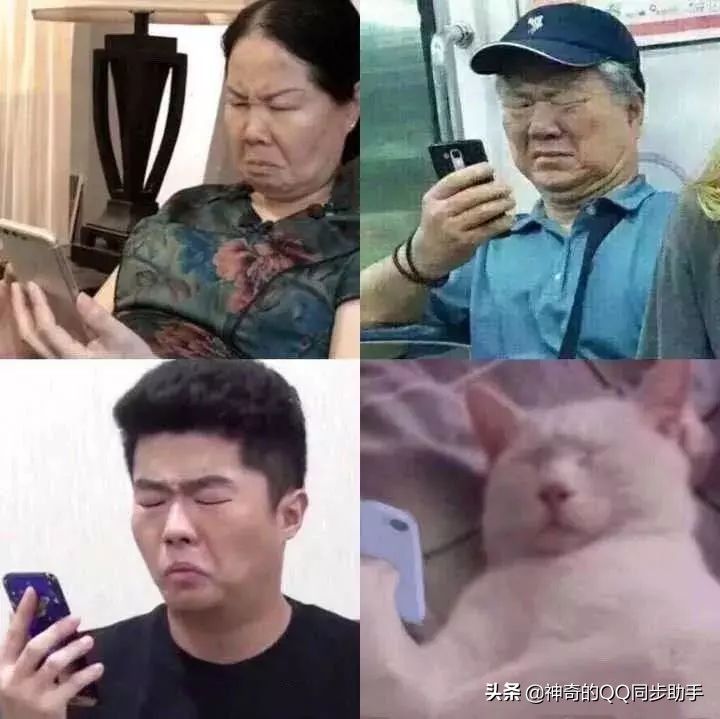 教你不花钱可以赚钱,教你不花钱拥有火箭少女