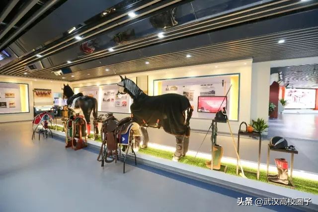 武汉低调神秘的高校,武汉低调的大学