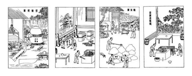 神话传说中的桃树,东方紫桑树是什么意思