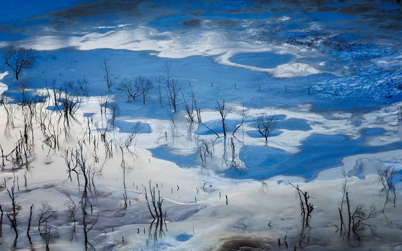 小寒御寒茶,冬天女人喝什么茶可以御寒保暖