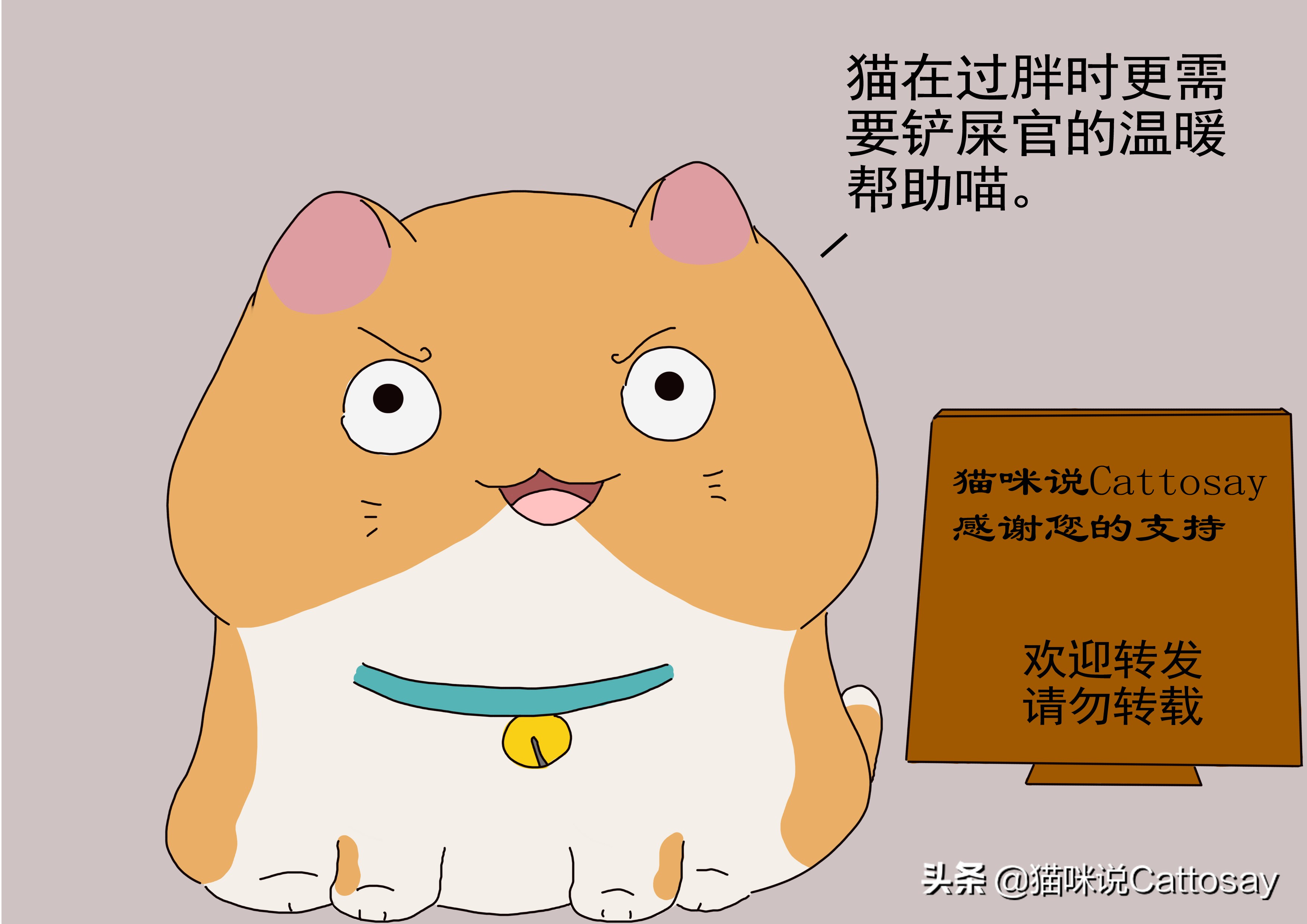 胖猫减肥最有效的方法,胖猫减肥励志视频