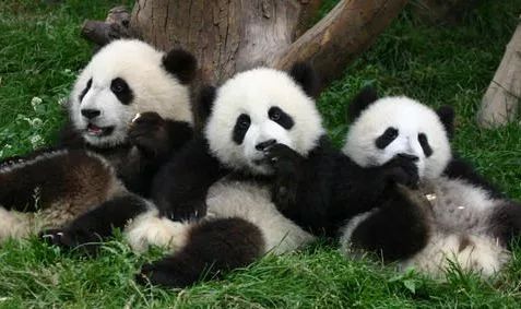 那些小时候起过的奇葩网名,还记得你曾经用过的网名吗