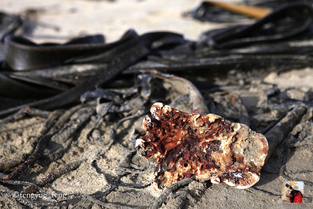 新西兰有哪些景观,新西兰风景最好的地方在哪里