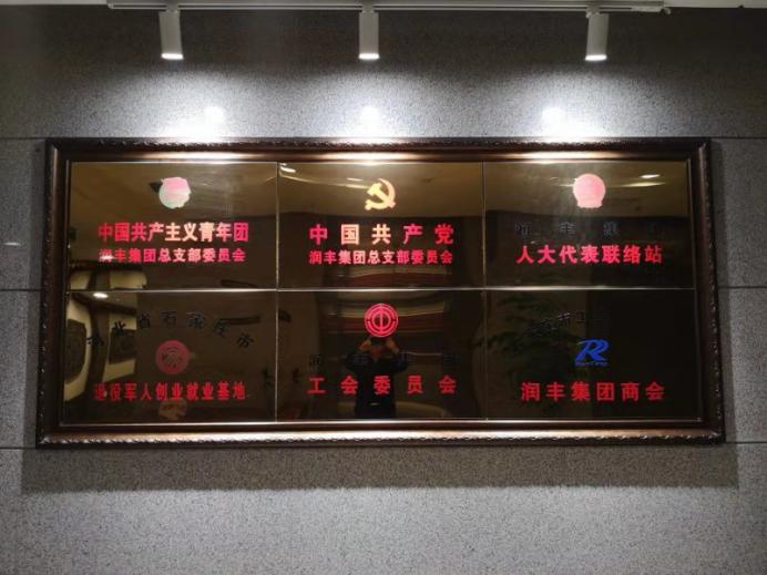 润丰集团公司,润丰集团简介