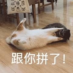 谨慎网络贷款切莫掉入陷阱,南京借钱贷款