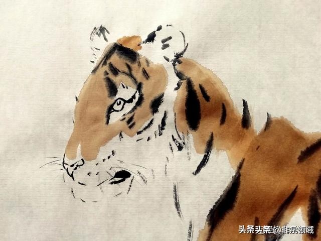 国画老虎画法步骤图,国画老虎画法步骤图解
