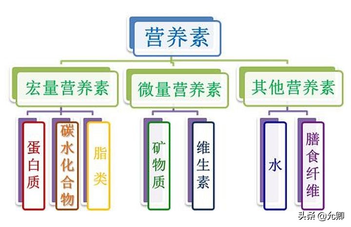 考营养师有意义吗,考营养师有什么用