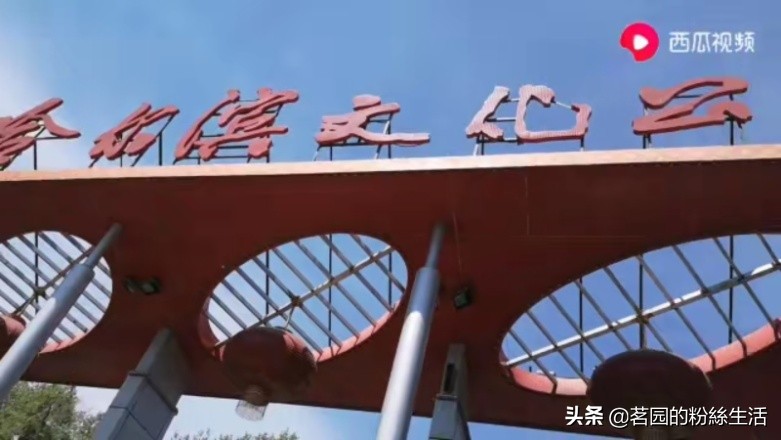 哈尔滨极乐寺冬天有庙会吗,哈尔滨极乐寺元宵节