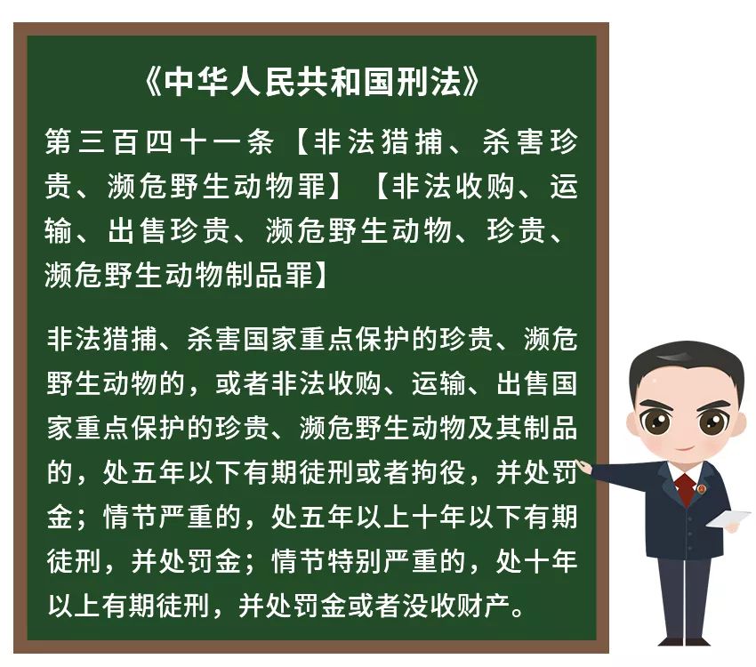 普法讲解野生动物,法治动物