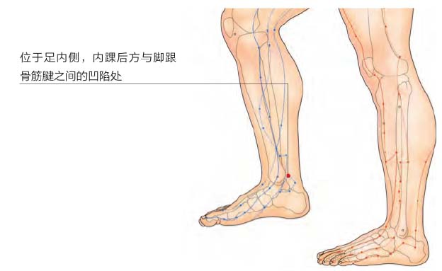 《尿道炎》是一种由细菌、真菌或病毒引起的尿道黏膜的炎症