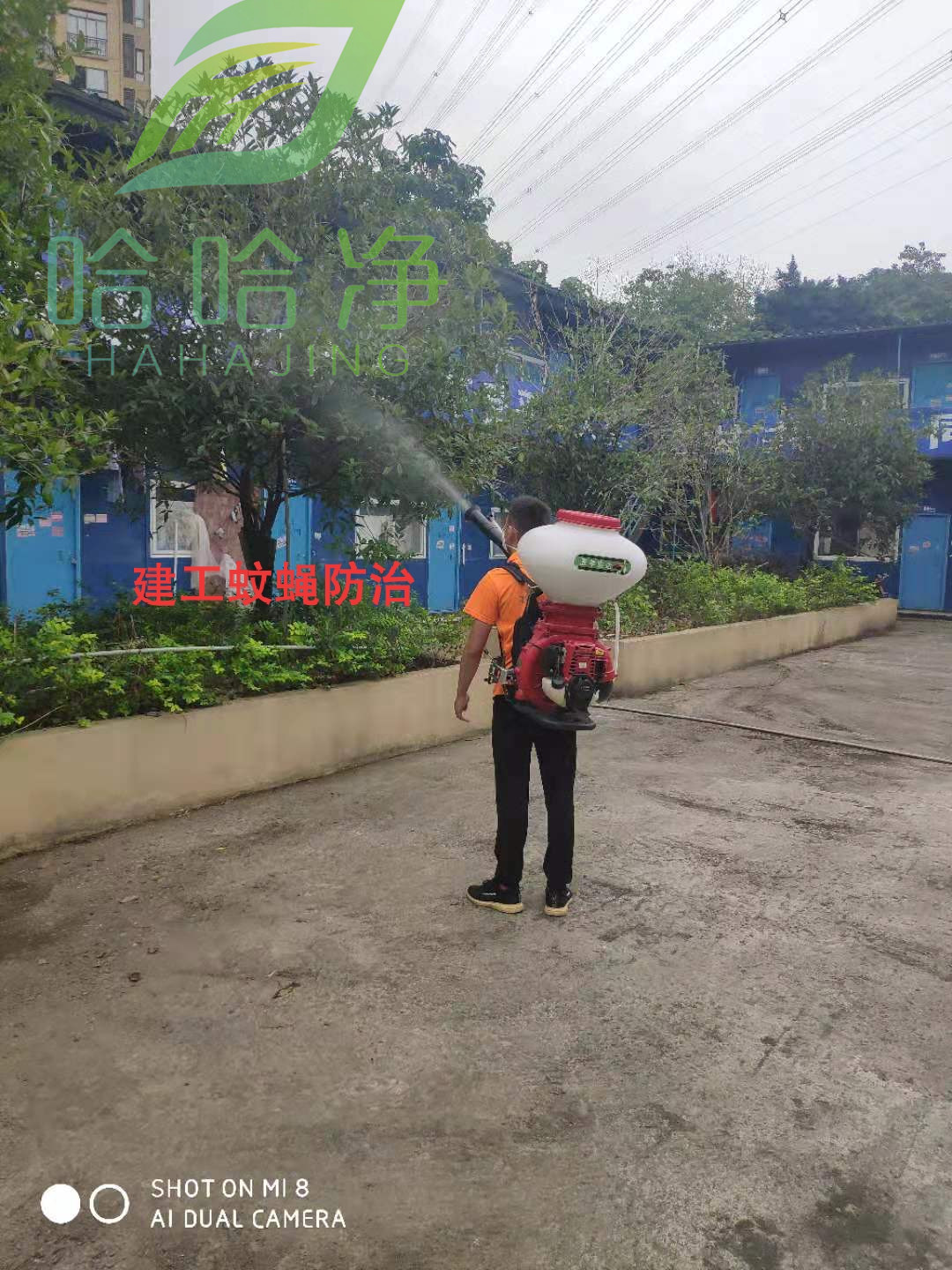 重庆虫害管家,重庆市城市害虫防治研究所