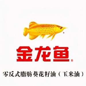 加点滋味调味品公司,加点滋味调味品待遇怎么样