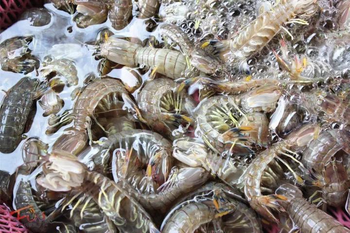 广州吃海鲜最便宜的地方2018年,广州的海鲜哪里又新鲜又便宜