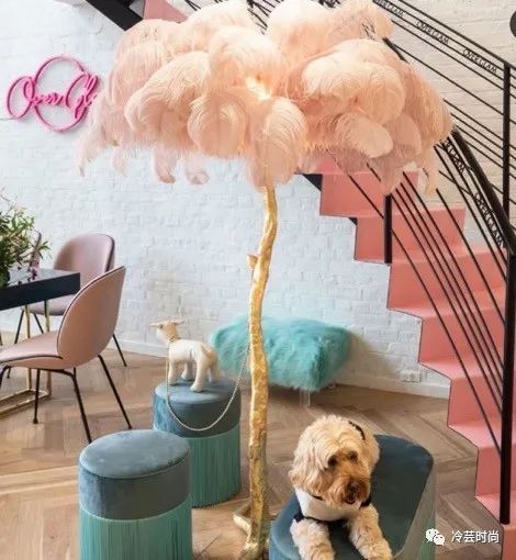 宠物新兴行业前景如何,宠物行业未来赚钱机会在哪