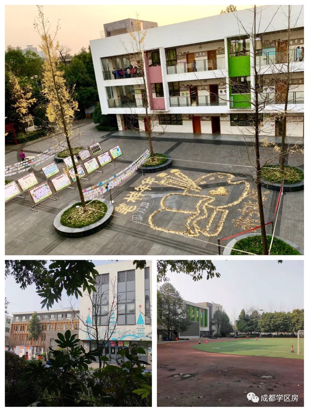 华侨城小学配套什么中学,华侨城对口小学