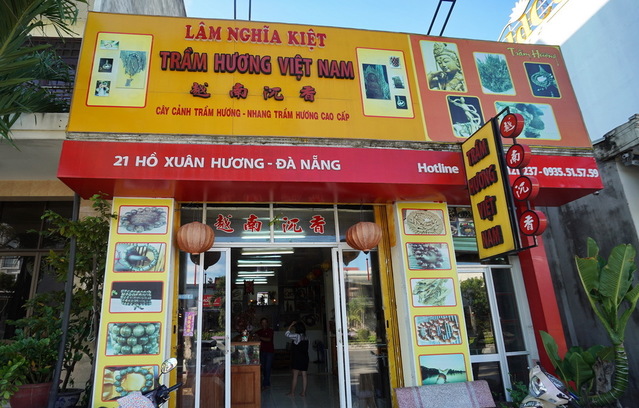 越南芽庄沉香与海南沉香的区别,越南沉香实地考察