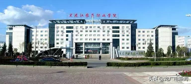 黑龙江省优秀高中学校,黑龙江省冲击双一流学校名单