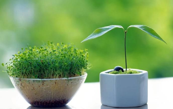 室内干燥不用加湿器怎么办,屋里干燥不用加湿器怎样增加湿度