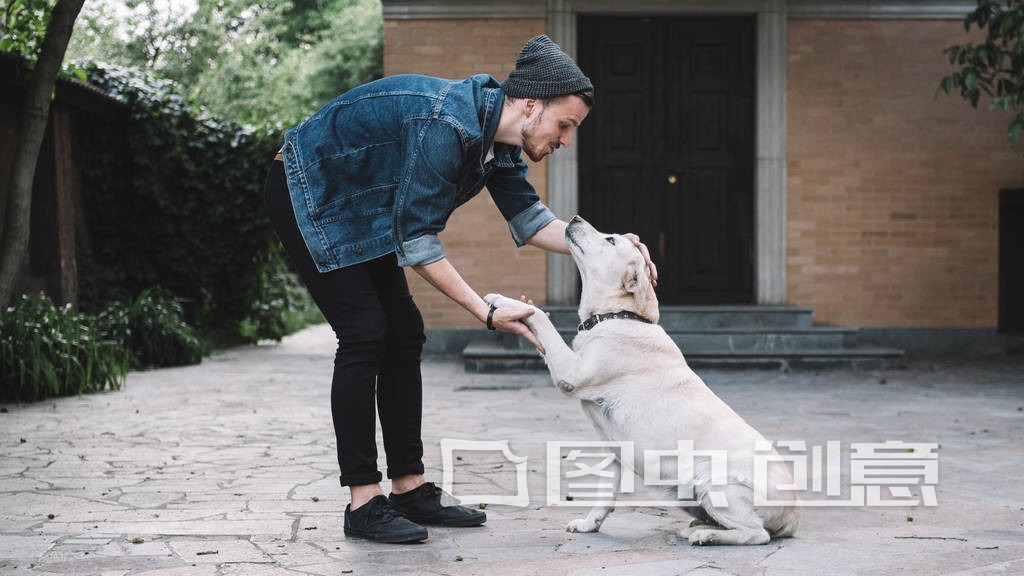 摸摸狗头在狗的眼里意味着什么,人摸狗的头狗在想什么