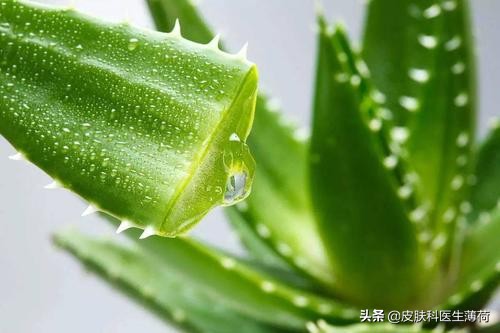 马应龙痔疮膏可以美肤吗,马应龙痔疮膏有什么护肤效果