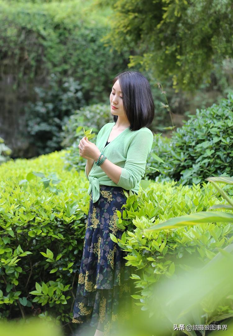 绿叶拍摄技巧图,逆光拍花拍摄技巧