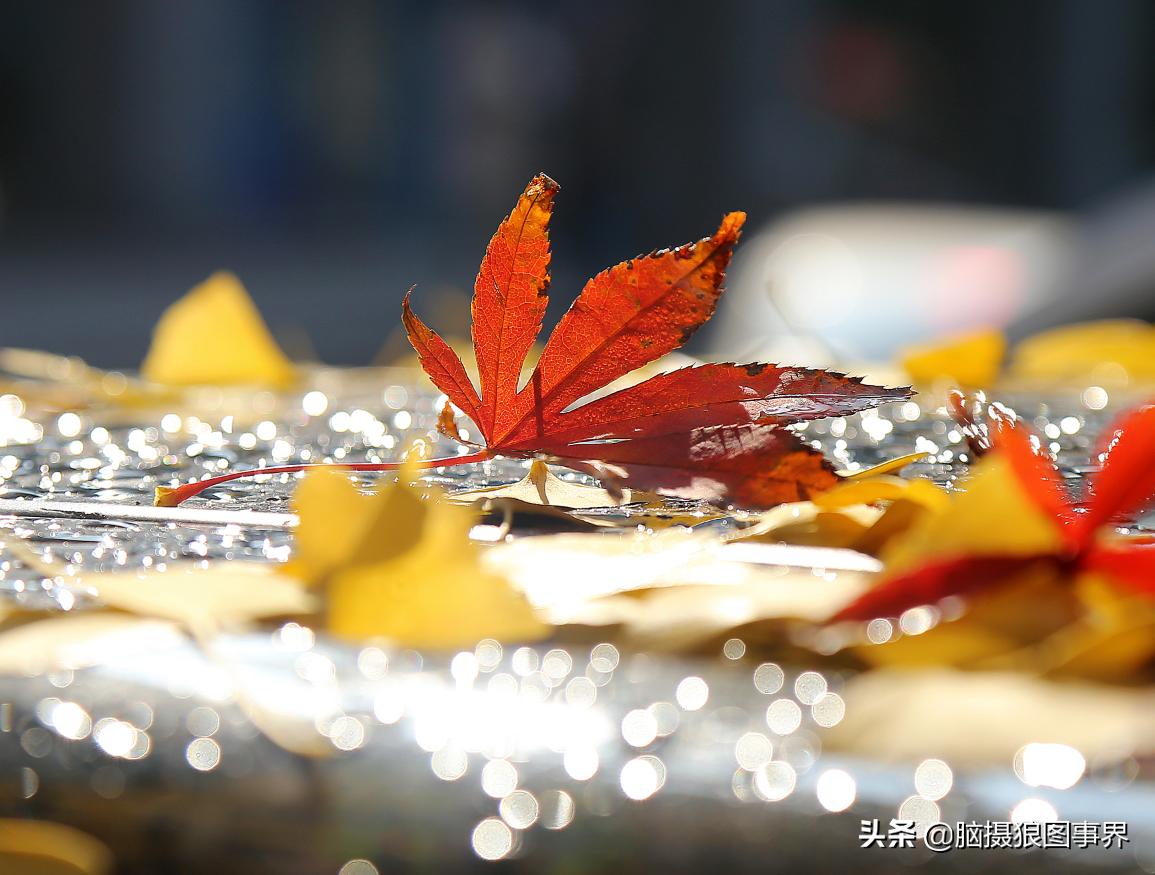 后期修图的技巧和方法,拍照后期修图技巧