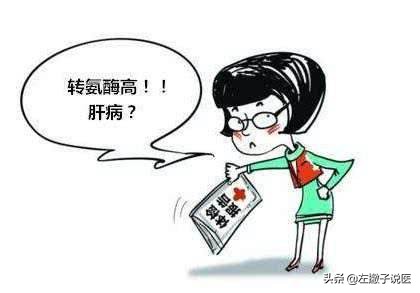 体检中谷丙转氨酶偏高是怎么回事,体检发现谷丙转氨酶升高什么原因