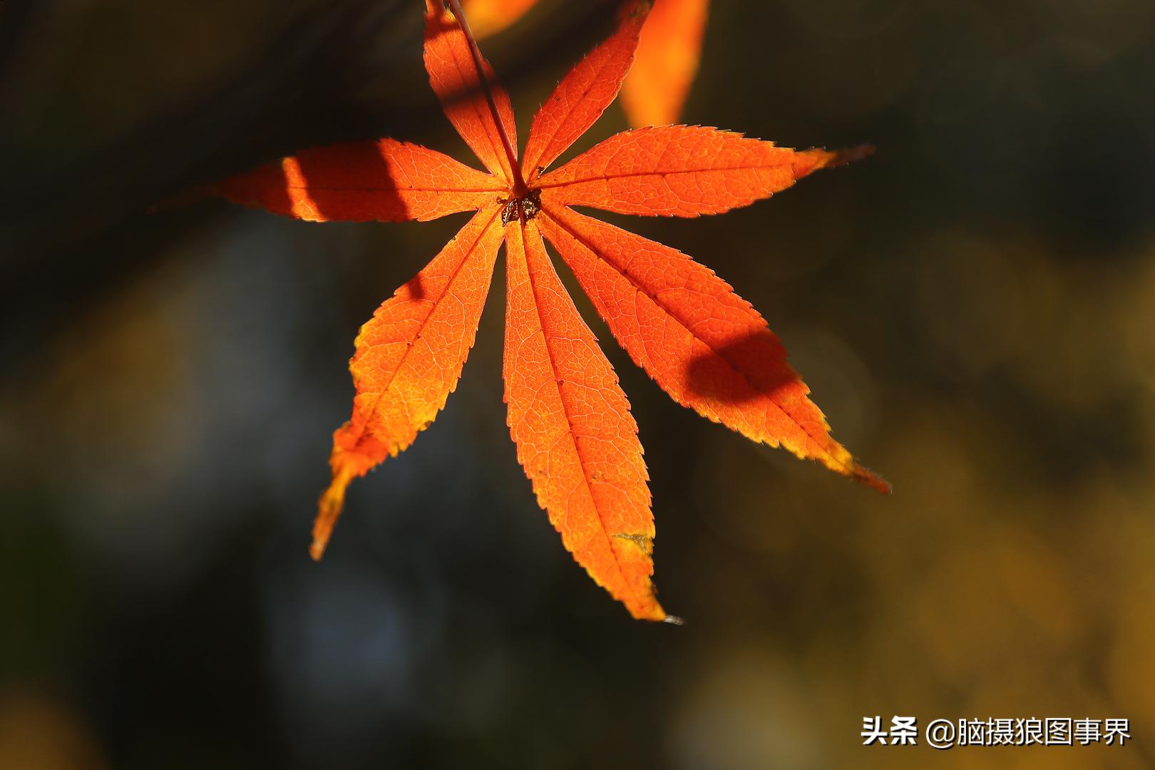 后期修图的技巧和方法,拍照后期修图技巧