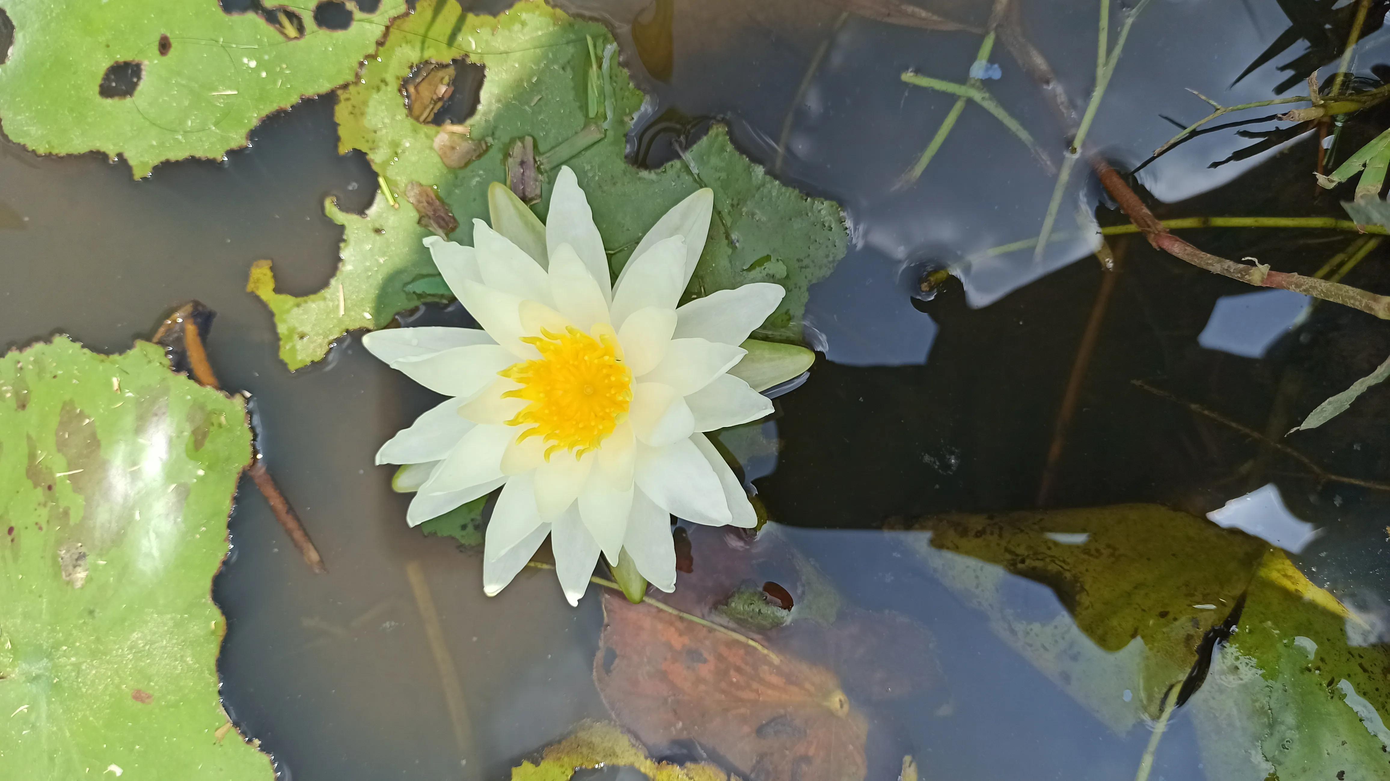 没钱怎么办可以找谁借钱,没钱怎么办怎么借钱