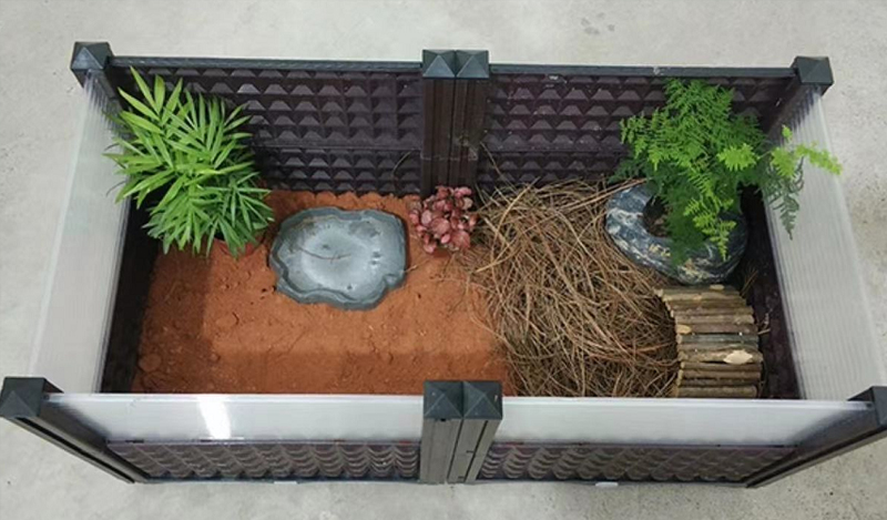 养黄缘龟的人多还是养水龟的人多,黄缘龟属水龟还是陆龟