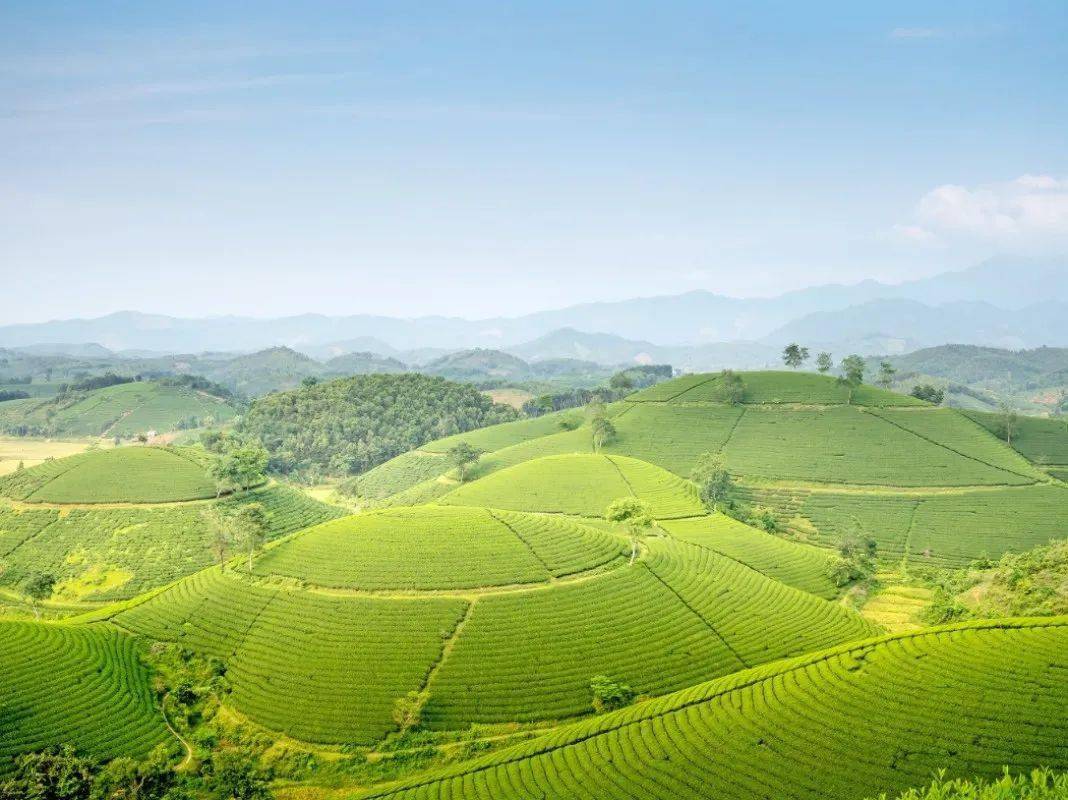 【富民兴村】芦山县青龙场村腾飞录‖李腾鹏