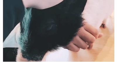 郑州市五一旅行,五一郑州游