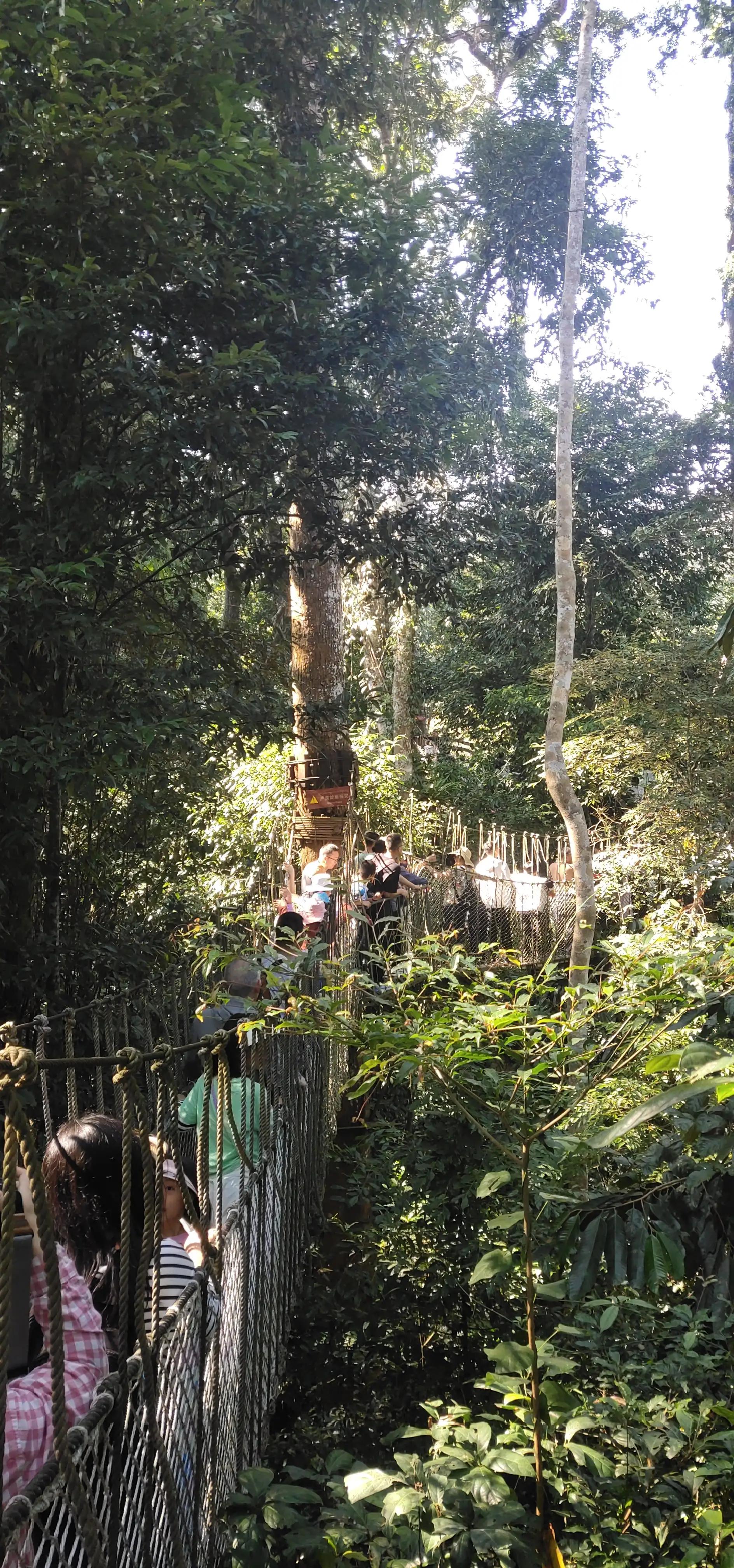 新能源汽车和油车驾驶感受,新能源车和燃油车驾驶感受哪个好